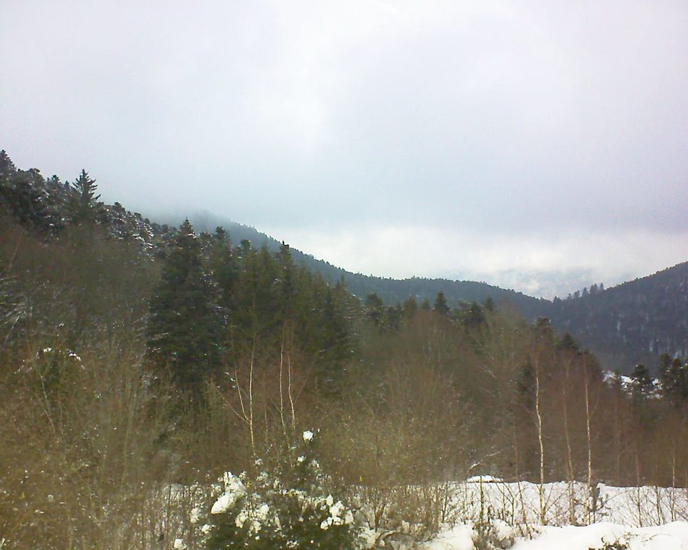 Le petit ballon vu depuis le Domaine Langmatt à Murbach le 31.01.2019 à 14:45 Le petit ballon (Alsace, Vosges) le 31.01.2019 à 14:45