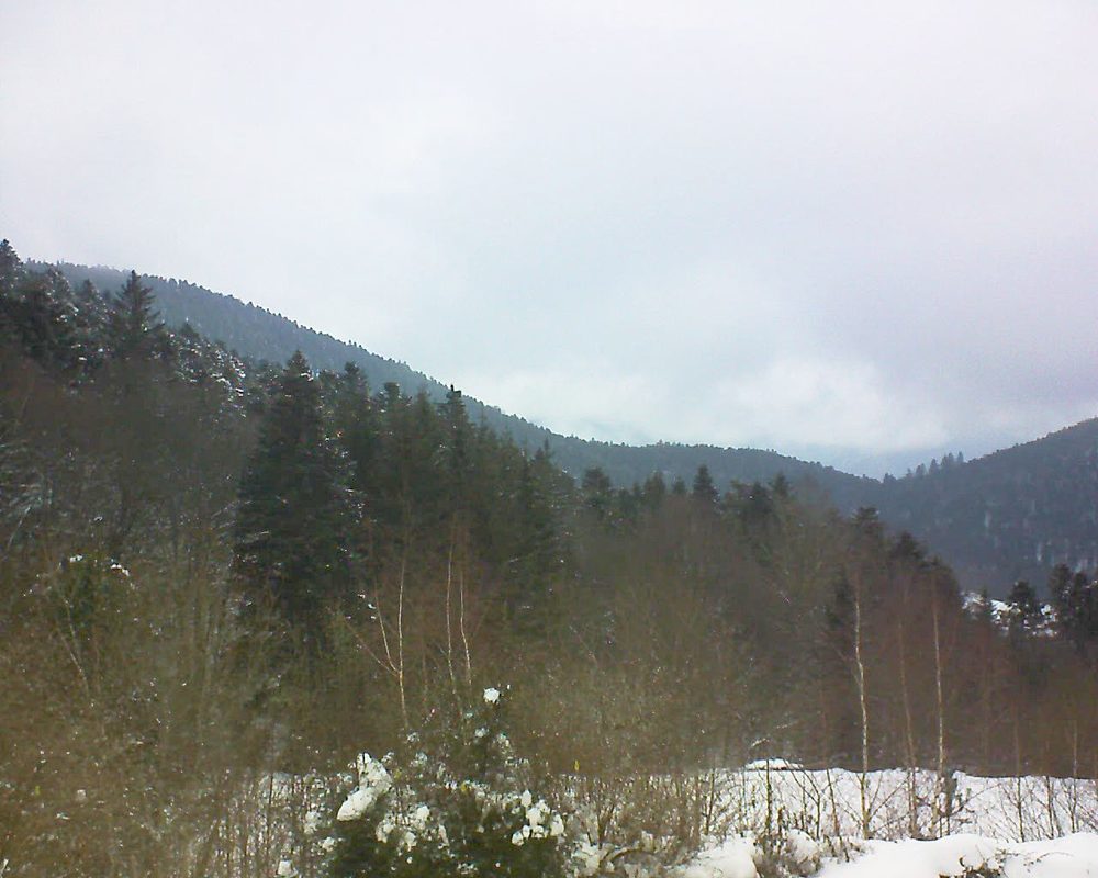 Le petit ballon vu depuis le Domaine Langmatt à Murbach le 31.01.2019 à 16:00 Le petit ballon (Alsace, Vosges) le 31.01.2019 à 16:00