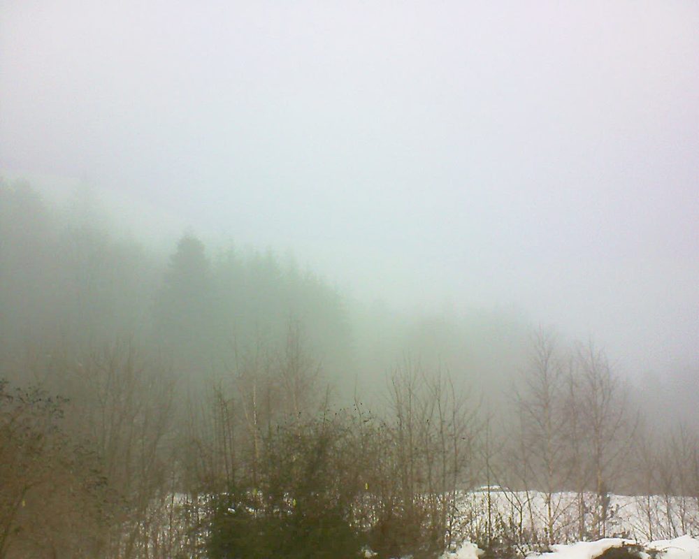 Le petit ballon vu depuis le Domaine Langmatt à Murbach le 01.02.2019 à 12:30 Le petit ballon (Alsace, Vosges) le 01.02.2019 à 12:30