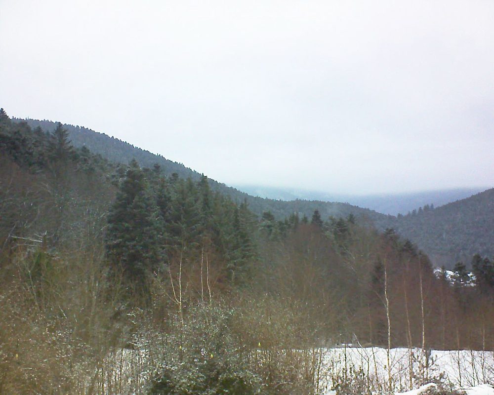 Le petit ballon vu depuis le Domaine Langmatt à Murbach le 03.02.2019 à 09:30 Le petit ballon (Alsace, Vosges) le 03.02.2019 à 09:30
