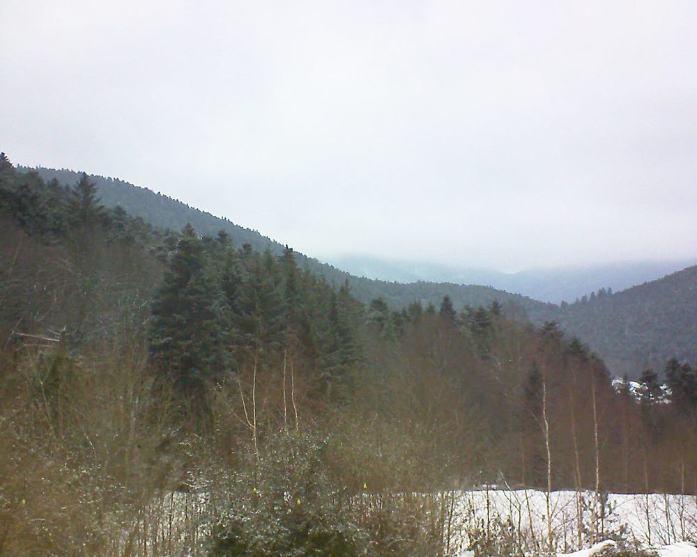Le petit ballon vu depuis le Domaine Langmatt à Murbach le 03.02.2019 à 10:30 Le petit ballon (Alsace, Vosges) le 03.02.2019 à 10:30