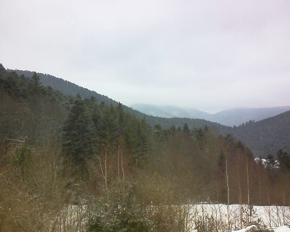 Le petit ballon vu depuis le Domaine Langmatt à Murbach le 03.02.2019 à 11:30 Le petit ballon (Alsace, Vosges) le 03.02.2019 à 11:30