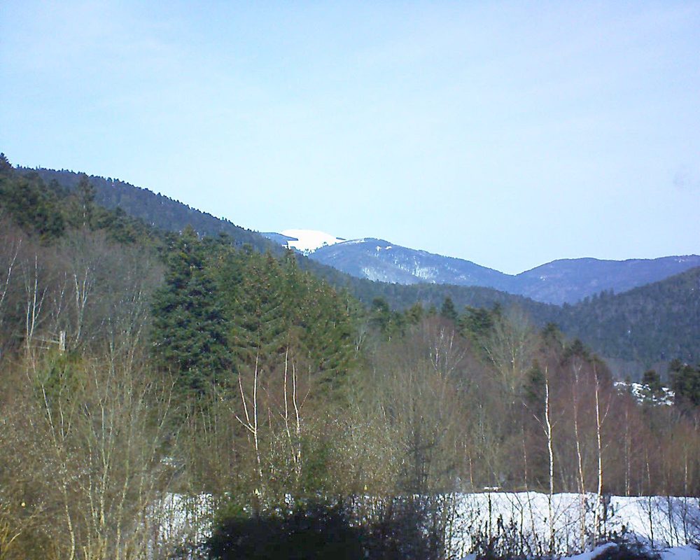 Le petit ballon vu depuis le Domaine Langmatt à Murbach le 04.02.2019 à 12:15 Le petit ballon (Alsace, Vosges) le 04.02.2019 à 12:15
