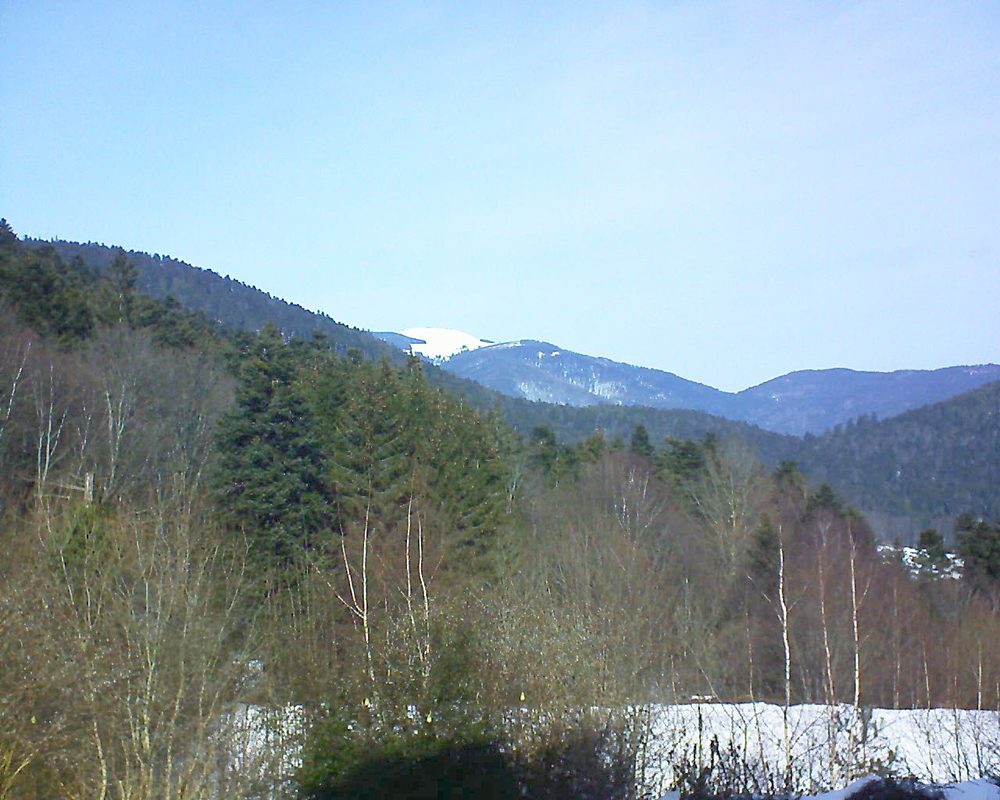 Le petit ballon vu depuis le Domaine Langmatt à Murbach le 04.02.2019 à 12:30 Le petit ballon (Alsace, Vosges) le 04.02.2019 à 12:30