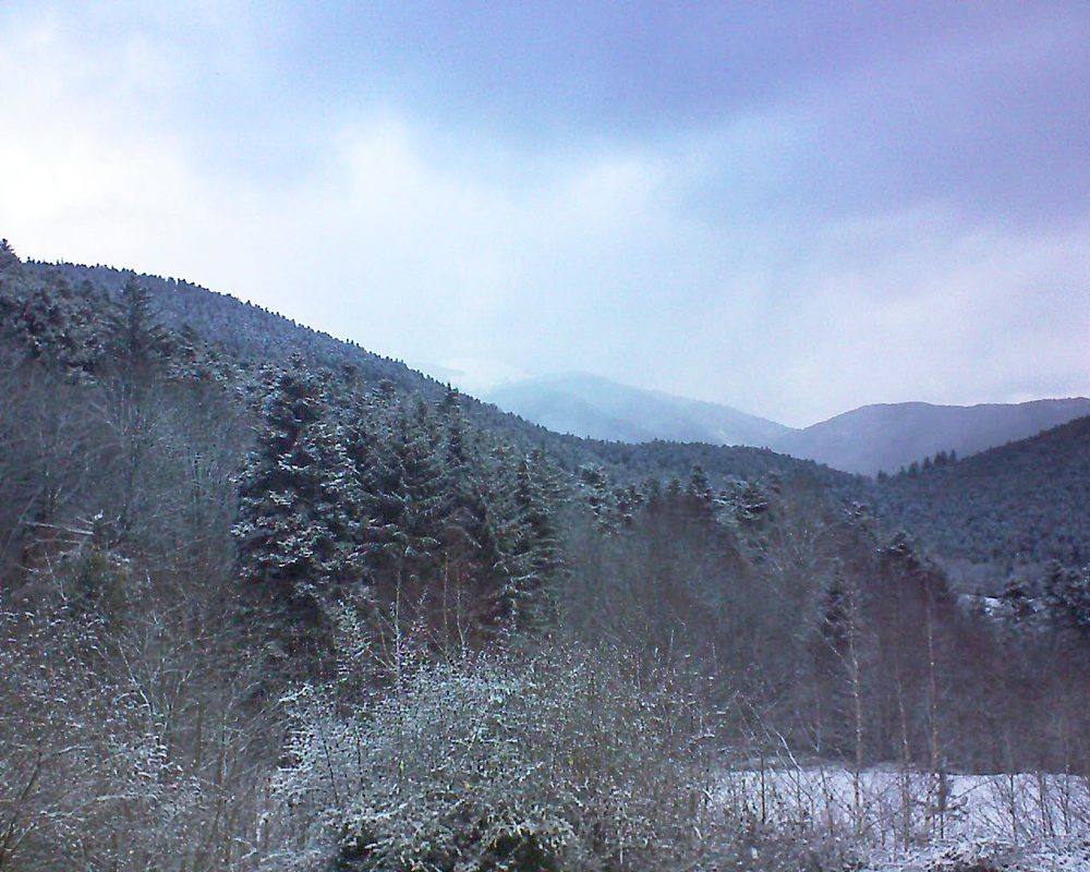 Le petit ballon vu depuis le Domaine Langmatt à Murbach le 11.02.2019 à 08:45 Le petit ballon (Alsace, Vosges) le 11.02.2019 à 08:45