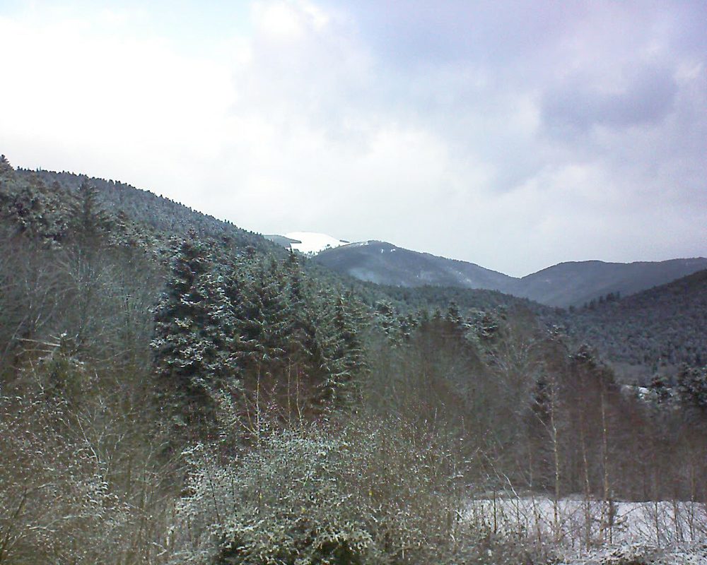 Le petit ballon vu depuis le Domaine Langmatt à Murbach le 11.02.2019 à 09:45 Le petit ballon (Alsace, Vosges) le 11.02.2019 à 09:45