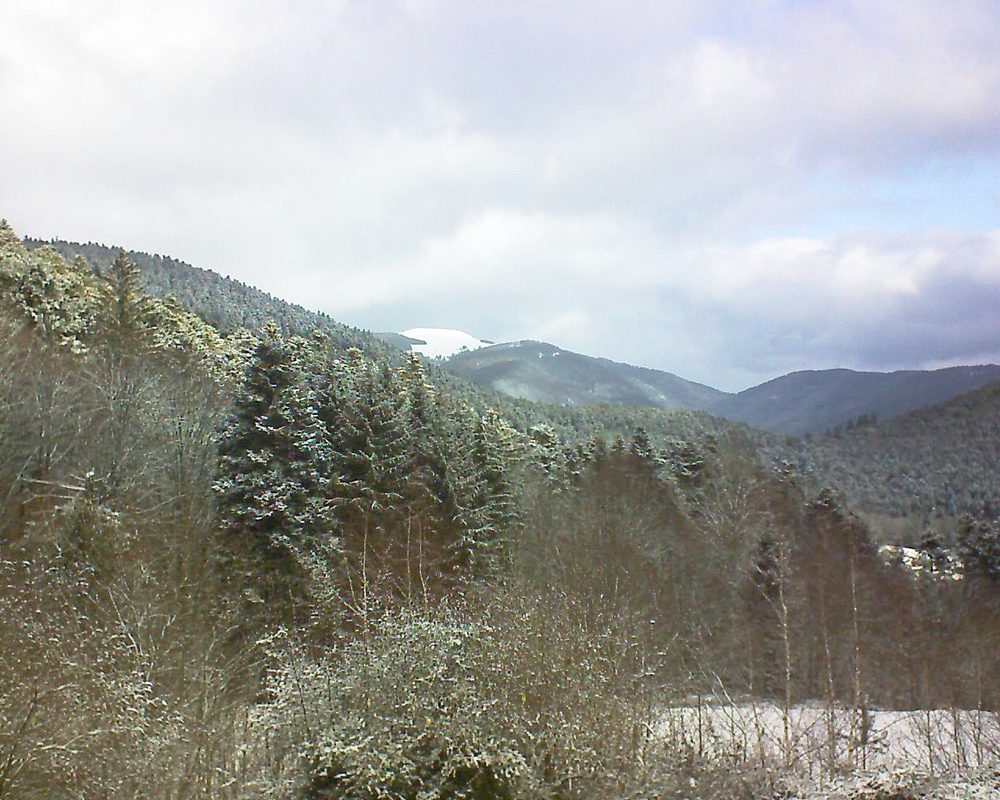 Le petit ballon vu depuis le Domaine Langmatt à Murbach le 11.02.2019 à 10:15 Le petit ballon (Alsace, Vosges) le 11.02.2019 à 10:15