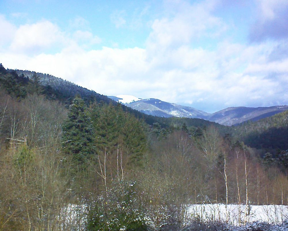 Le petit ballon vu depuis le Domaine Langmatt à Murbach le 11.02.2019 à 12:15 Le petit ballon (Alsace, Vosges) le 11.02.2019 à 12:15