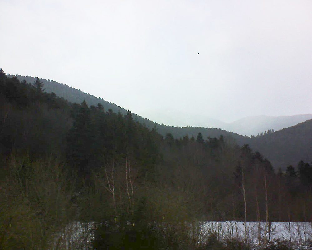 Le petit ballon vu depuis le Domaine Langmatt à Murbach le 11.02.2019 à 13:45 Le petit ballon (Alsace, Vosges) le 11.02.2019 à 13:45