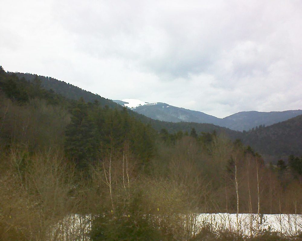 Le petit ballon vu depuis le Domaine Langmatt à Murbach le 12.02.2019 à 15:15 Le petit ballon (Alsace, Vosges) le 12.02.2019 à 15:15