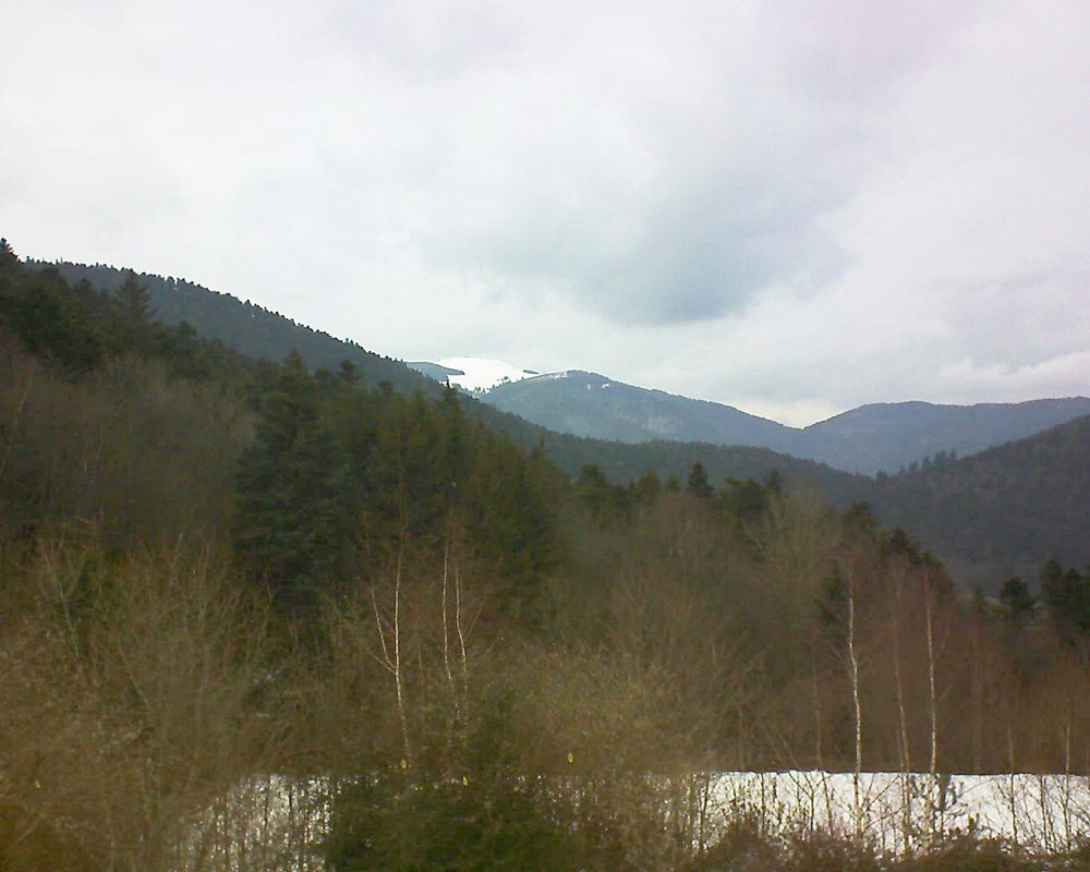 Le petit ballon vu depuis le Domaine Langmatt à Murbach le 12.02.2019 à 15:30 Le petit ballon (Alsace, Vosges) le 12.02.2019 à 15:30