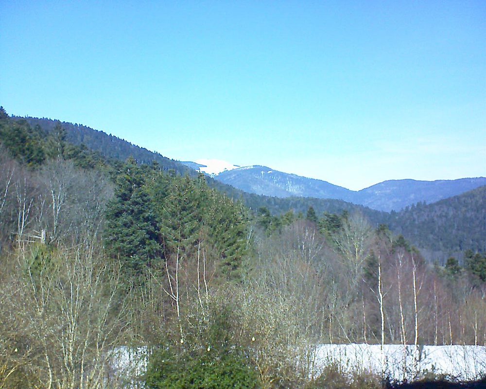 Le petit ballon vu depuis le Domaine Langmatt à Murbach le 13.02.2019 à 12:45 Le petit ballon (Alsace, Vosges) le 13.02.2019 à 12:45