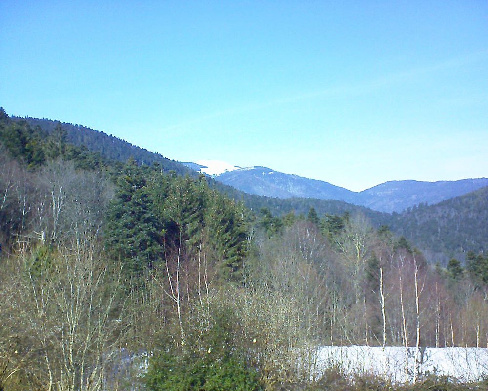 Le petit ballon vu depuis le Domaine Langmatt à Murbach le 13.02.2019 à 13:30 Le petit ballon (Alsace, Vosges) le 13.02.2019 à 13:30