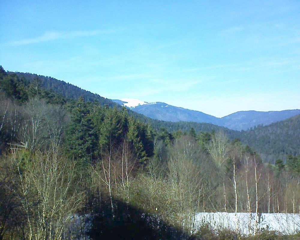Le petit ballon vu depuis le Domaine Langmatt à Murbach le 13.02.2019 à 14:30 Le petit ballon (Alsace, Vosges) le 13.02.2019 à 14:30