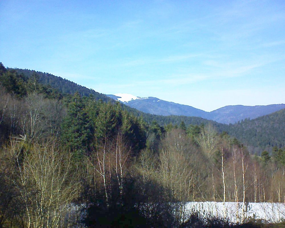 Le petit ballon vu depuis le Domaine Langmatt à Murbach le 13.02.2019 à 14:45 Le petit ballon (Alsace, Vosges) le 13.02.2019 à 14:45