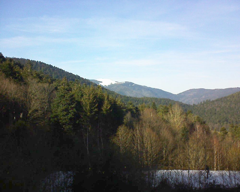 Le petit ballon vu depuis le Domaine Langmatt à Murbach le 13.02.2019 à 15:15 Le petit ballon (Alsace, Vosges) le 13.02.2019 à 15:15