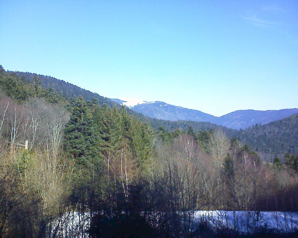 Le petit ballon vu depuis le Domaine Langmatt à Murbach le 14.02.2019 à 11:15 Le petit ballon (Alsace, Vosges) le 14.02.2019 à 11:15