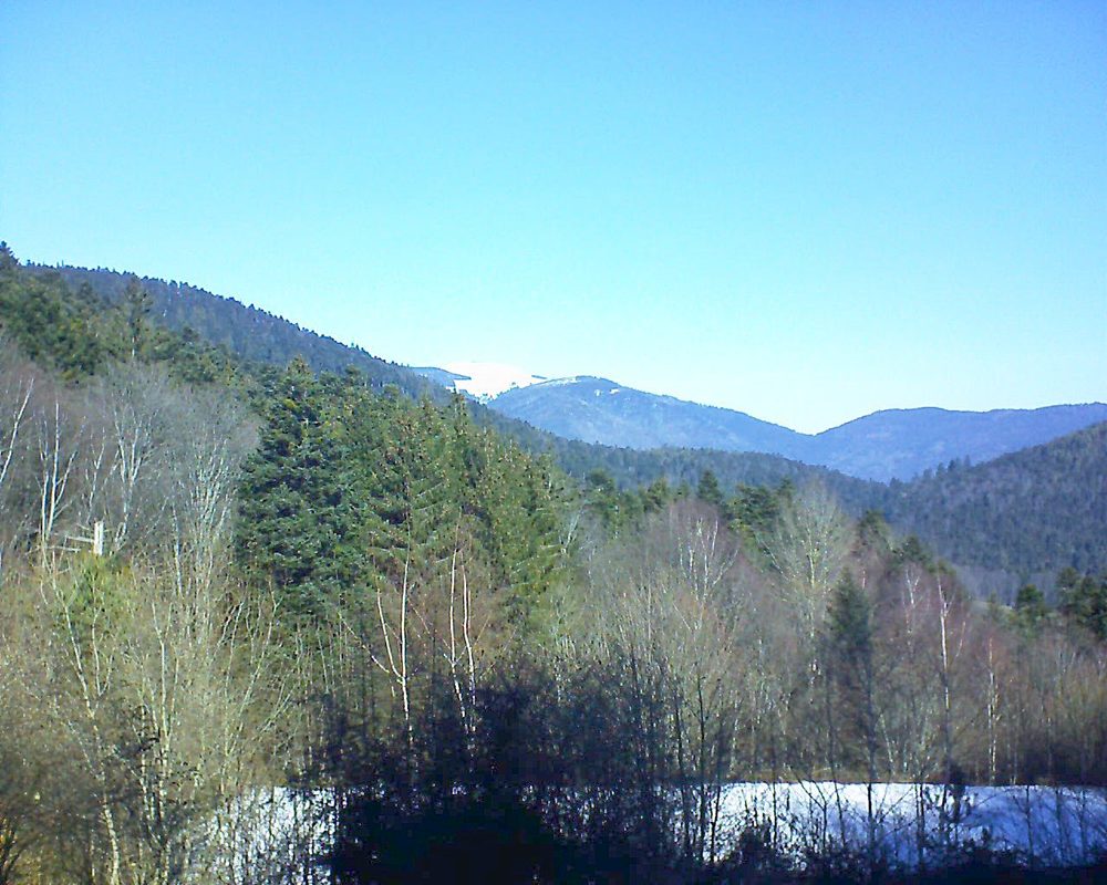 Le petit ballon vu depuis le Domaine Langmatt à Murbach le 14.02.2019 à 11:30 Le petit ballon (Alsace, Vosges) le 14.02.2019 à 11:30