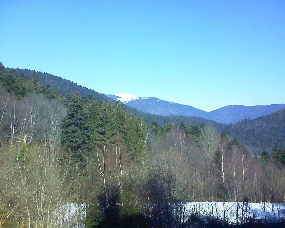 Le petit ballon vu depuis le Domaine Langmatt à Murbach le 14.02.2019 à 11:45 Le petit ballon (Alsace, Vosges) le 14.02.2019 à 11:45