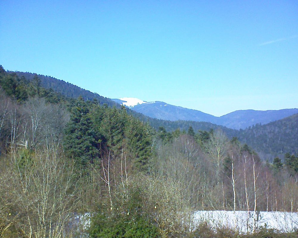 Le petit ballon vu depuis le Domaine Langmatt à Murbach le 14.02.2019 à 13:15 Le petit ballon (Alsace, Vosges) le 14.02.2019 à 13:15