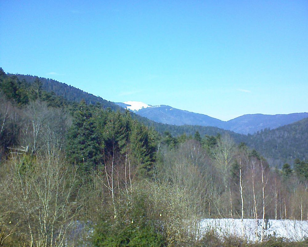 Le petit ballon vu depuis le Domaine Langmatt à Murbach le 14.02.2019 à 13:45 Le petit ballon (Alsace, Vosges) le 14.02.2019 à 13:45