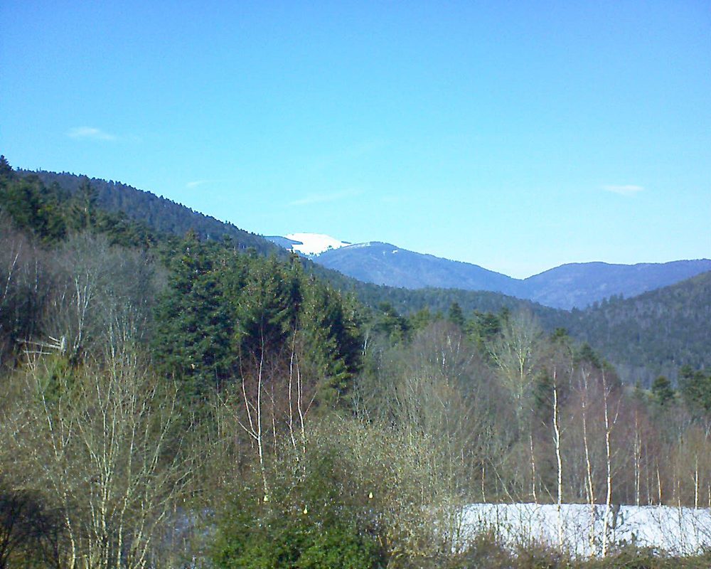 Le petit ballon vu depuis le Domaine Langmatt à Murbach le 14.02.2019 à 14:00 Le petit ballon (Alsace, Vosges) le 14.02.2019 à 14:00