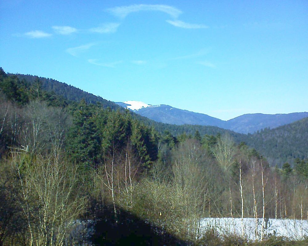 Le petit ballon vu depuis le Domaine Langmatt à Murbach le 14.02.2019 à 14:30 Le petit ballon (Alsace, Vosges) le 14.02.2019 à 14:30