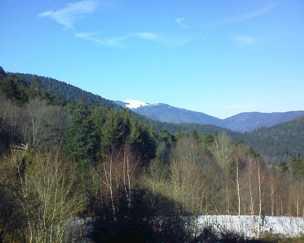 Le petit ballon vu depuis le Domaine Langmatt à Murbach le 14.02.2019 à 14:45 Le petit ballon (Alsace, Vosges) le 14.02.2019 à 14:45