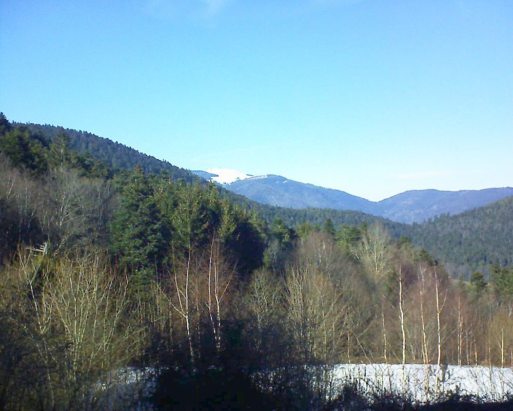 Le petit ballon vu depuis le Domaine Langmatt à Murbach le 14.02.2019 à 15:00 Le petit ballon (Alsace, Vosges) le 14.02.2019 à 15:00