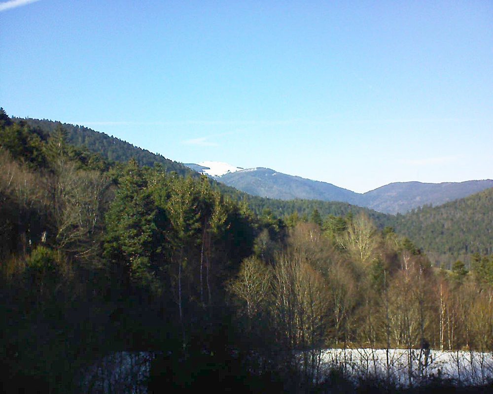 Le petit ballon vu depuis le Domaine Langmatt à Murbach le 14.02.2019 à 15:15 Le petit ballon (Alsace, Vosges) le 14.02.2019 à 15:15