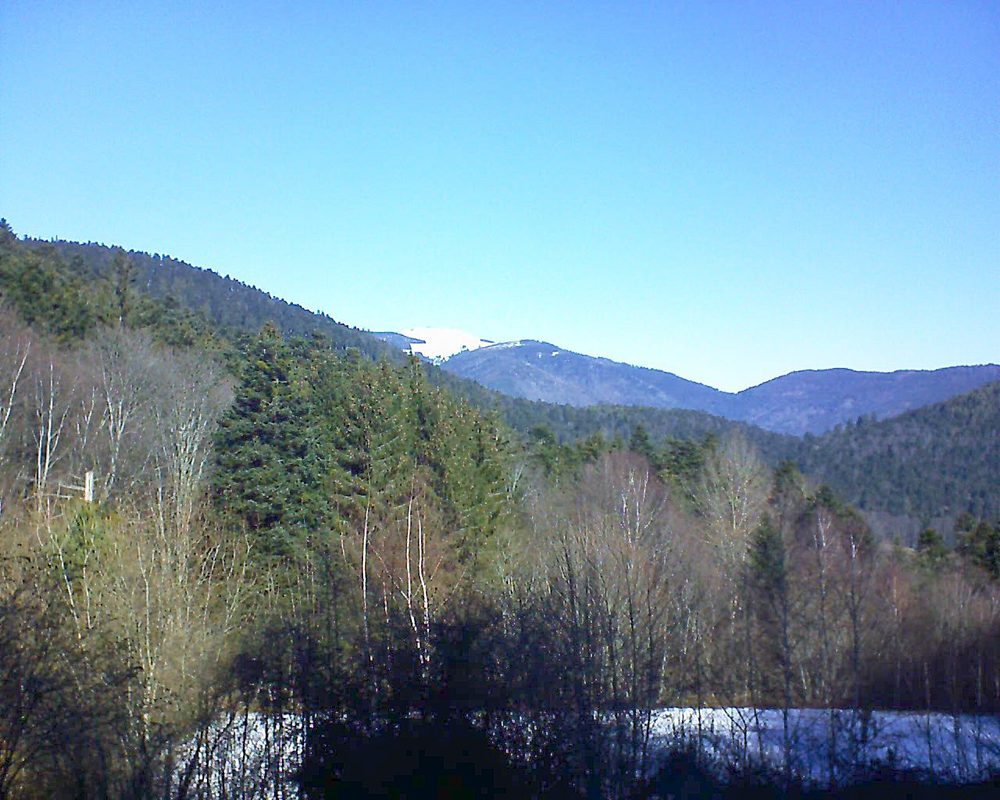 Le petit ballon vu depuis le Domaine Langmatt à Murbach le 15.02.2019 à 11:15 Le petit ballon (Alsace, Vosges) le 15.02.2019 à 11:15