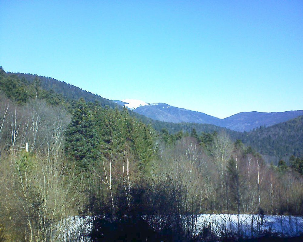 Le petit ballon vu depuis le Domaine Langmatt à Murbach le 15.02.2019 à 11:30 Le petit ballon (Alsace, Vosges) le 15.02.2019 à 11:30