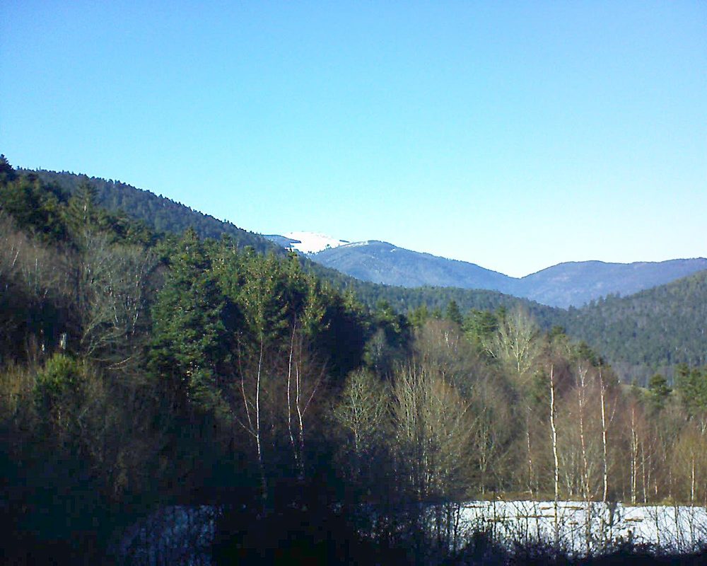 Le petit ballon vu depuis le Domaine Langmatt à Murbach le 15.02.2019 à 15:15 Le petit ballon (Alsace, Vosges) le 15.02.2019 à 15:15