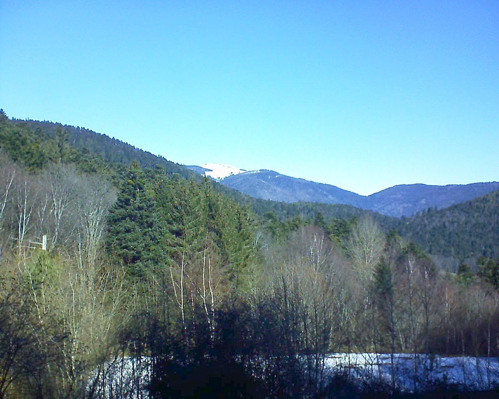 Le petit ballon vu depuis le Domaine Langmatt à Murbach le 16.02.2019 à 11:15 Le petit ballon (Alsace, Vosges) le 16.02.2019 à 11:15