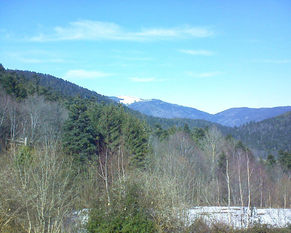 Le petit ballon vu depuis le Domaine Langmatt à Murbach le 16.02.2019 à 13:15 Le petit ballon (Alsace, Vosges) le 16.02.2019 à 13:15