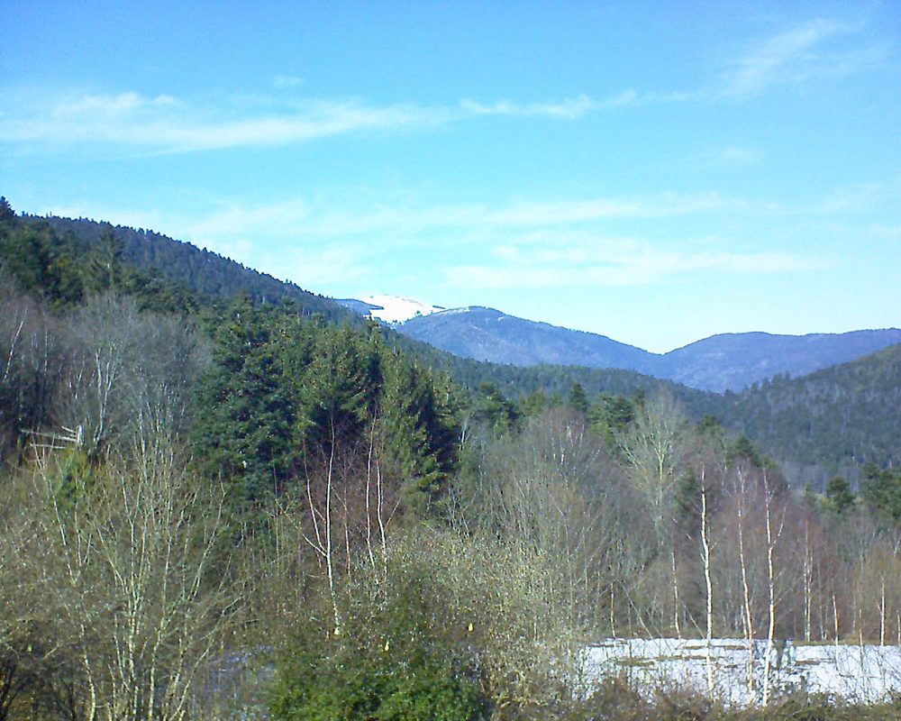 Le petit ballon vu depuis le Domaine Langmatt à Murbach le 16.02.2019 à 14:00 Le petit ballon (Alsace, Vosges) le 16.02.2019 à 14:00
