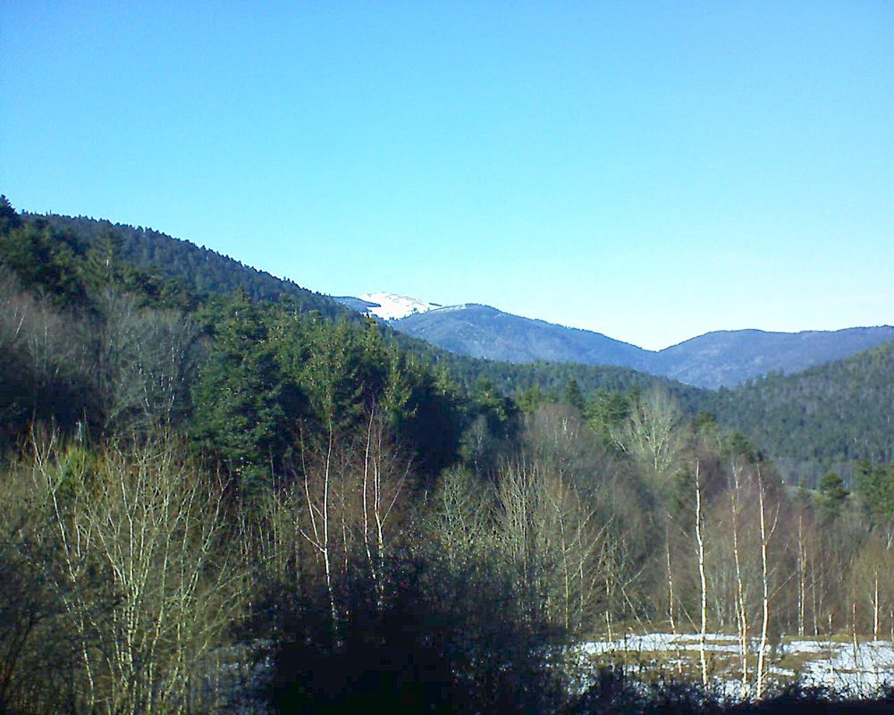 Le petit ballon vu depuis le Domaine Langmatt à Murbach le 17.02.2019 à 15:15 Le petit ballon (Alsace, Vosges) le 17.02.2019 à 15:15
