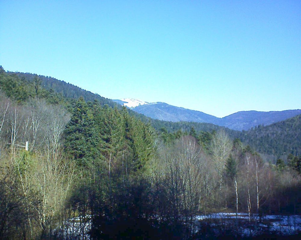 Le petit ballon vu depuis le Domaine Langmatt à Murbach le 18.02.2019 à 11:00 Le petit ballon (Alsace, Vosges) le 18.02.2019 à 11:00