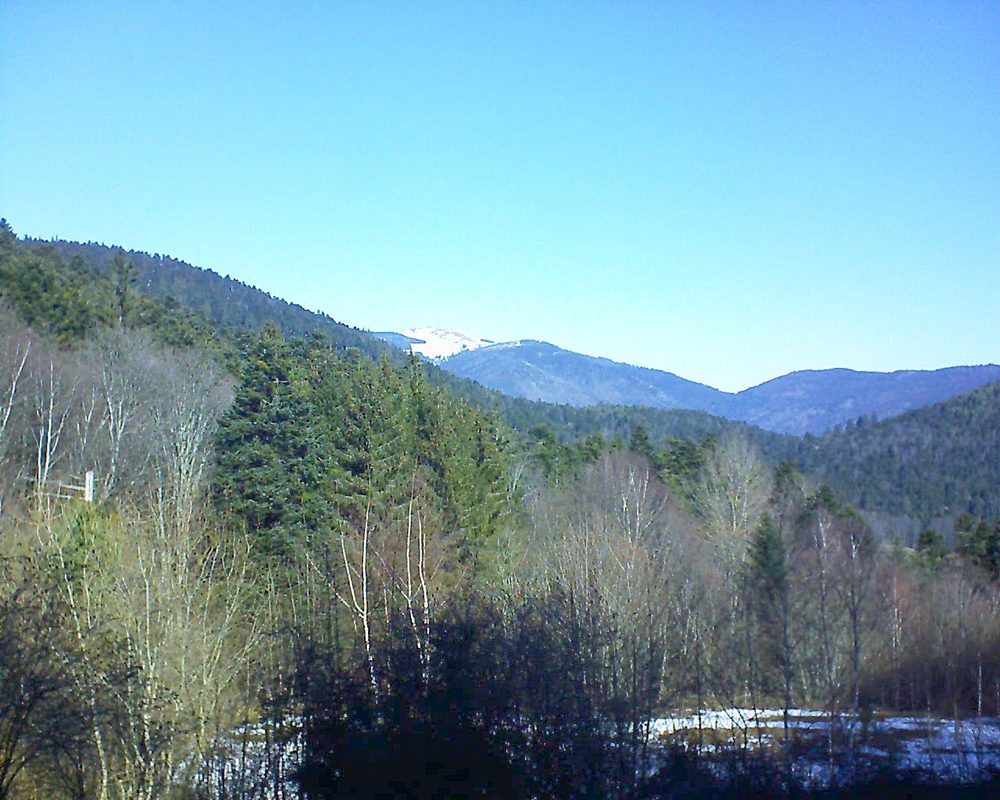 Le petit ballon vu depuis le Domaine Langmatt à Murbach le 18.02.2019 à 11:15 Le petit ballon (Alsace, Vosges) le 18.02.2019 à 11:15