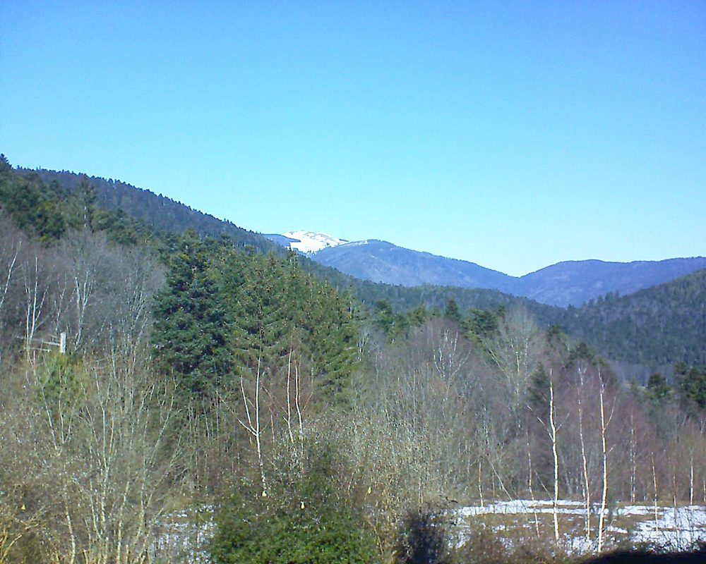 Le petit ballon vu depuis le Domaine Langmatt à Murbach le 18.02.2019 à 12:15 Le petit ballon (Alsace, Vosges) le 18.02.2019 à 12:15