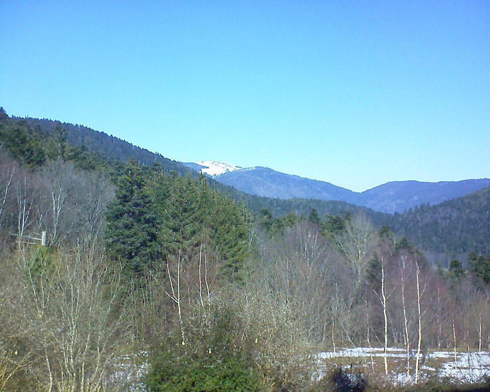 Le petit ballon vu depuis le Domaine Langmatt à Murbach le 18.02.2019 à 12:30 Le petit ballon (Alsace, Vosges) le 18.02.2019 à 12:30