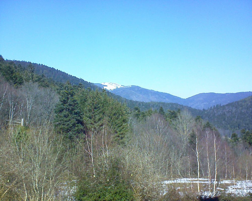 Le petit ballon vu depuis le Domaine Langmatt à Murbach le 18.02.2019 à 12:45 Le petit ballon (Alsace, Vosges) le 18.02.2019 à 12:45