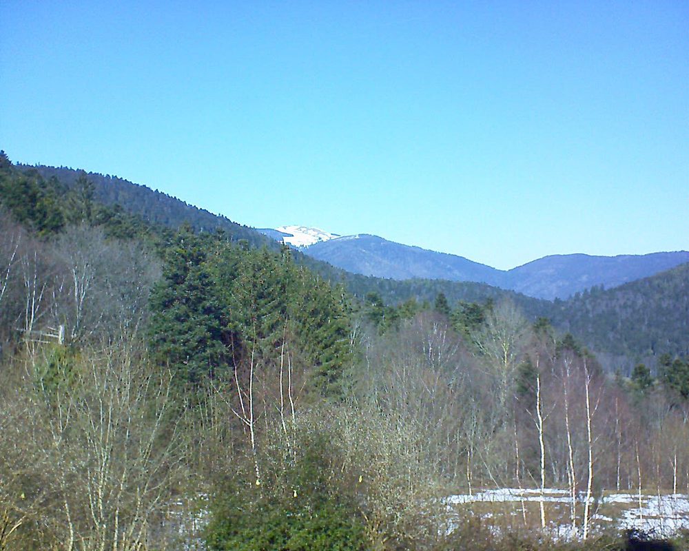 Le petit ballon vu depuis le Domaine Langmatt à Murbach le 18.02.2019 à 13:00 Le petit ballon (Alsace, Vosges) le 18.02.2019 à 13:00