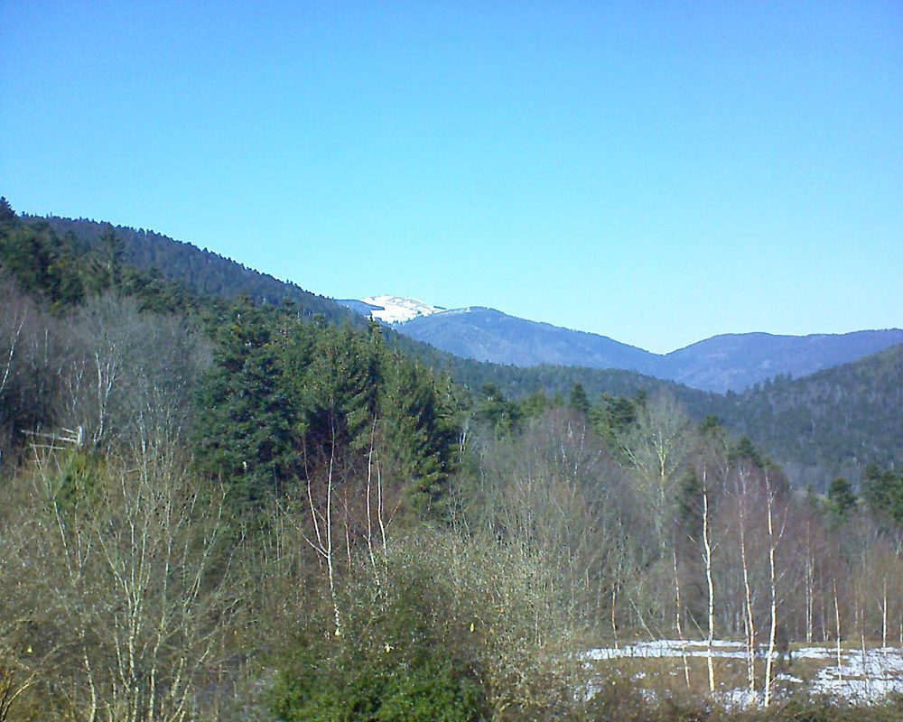 Le petit ballon vu depuis le Domaine Langmatt à Murbach le 18.02.2019 à 13:45 Le petit ballon (Alsace, Vosges) le 18.02.2019 à 13:45