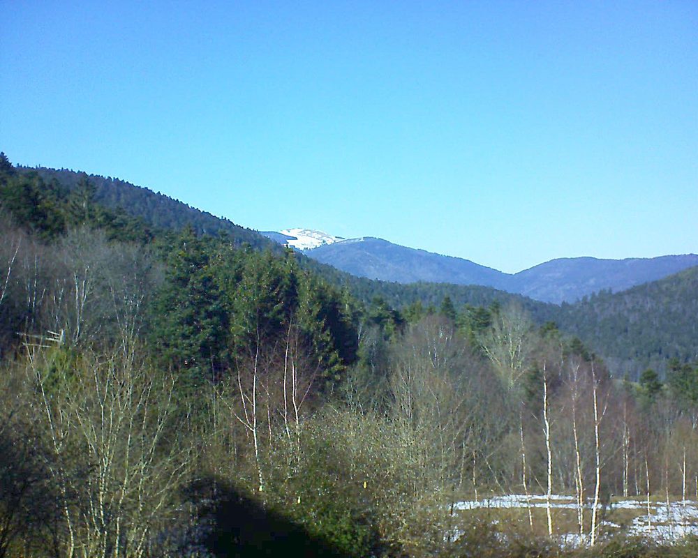 Le petit ballon vu depuis le Domaine Langmatt à Murbach le 18.02.2019 à 14:30 Le petit ballon (Alsace, Vosges) le 18.02.2019 à 14:30