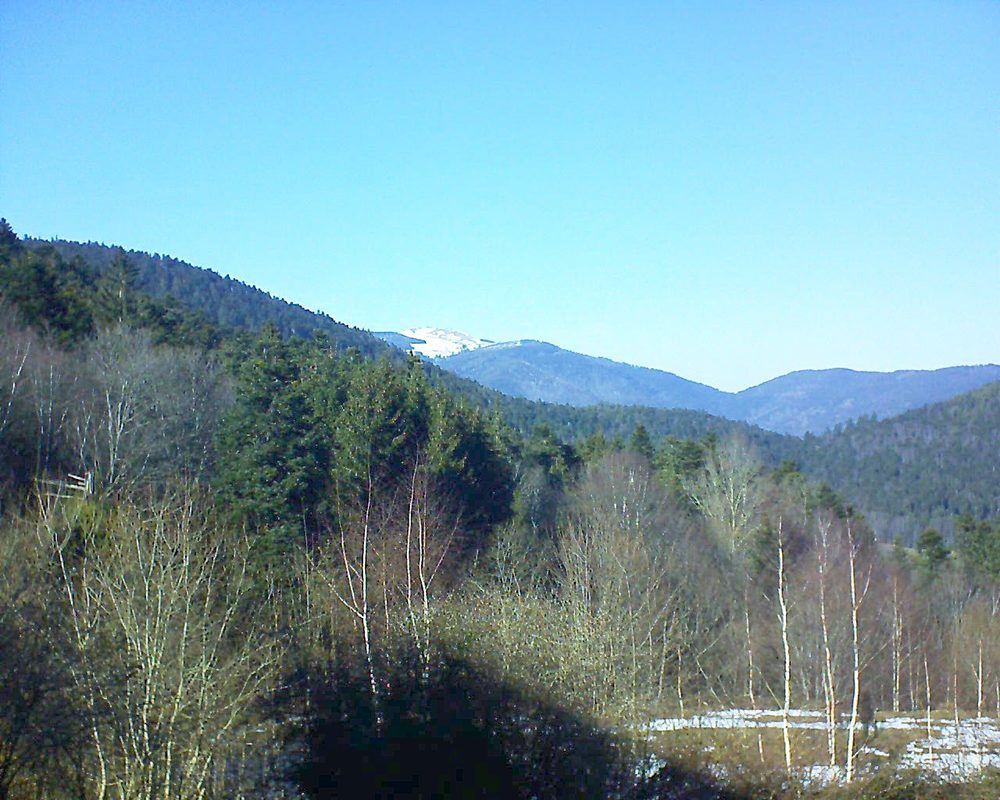 Le petit ballon vu depuis le Domaine Langmatt à Murbach le 18.02.2019 à 14:45 Le petit ballon (Alsace, Vosges) le 18.02.2019 à 14:45