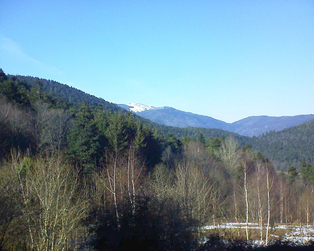 Le petit ballon vu depuis le Domaine Langmatt à Murbach le 18.02.2019 à 15:15 Le petit ballon (Alsace, Vosges) le 18.02.2019 à 15:15