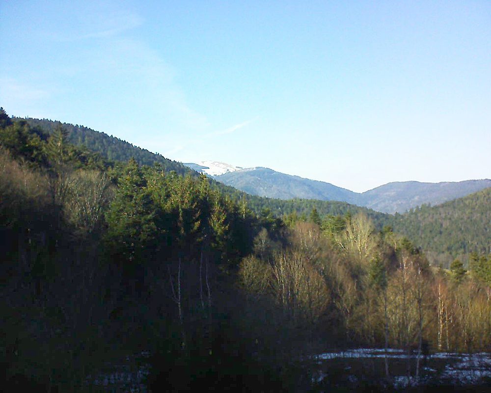 Le petit ballon vu depuis le Domaine Langmatt à Murbach le 18.02.2019 à 15:30 Le petit ballon (Alsace, Vosges) le 18.02.2019 à 15:30