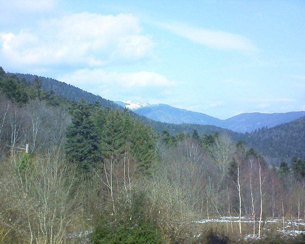 Le petit ballon vu depuis le Domaine Langmatt à Murbach le 19.02.2019 à 12:30 Le petit ballon (Alsace, Vosges) le 19.02.2019 à 12:30
