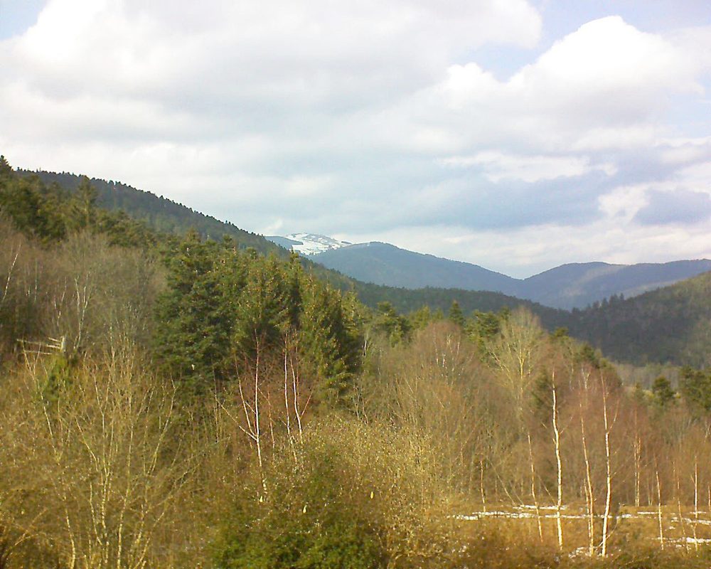 Le petit ballon vu depuis le Domaine Langmatt à Murbach le 19.02.2019 à 14:00 Le petit ballon (Alsace, Vosges) le 19.02.2019 à 14:00